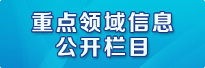 重点领域信息公开