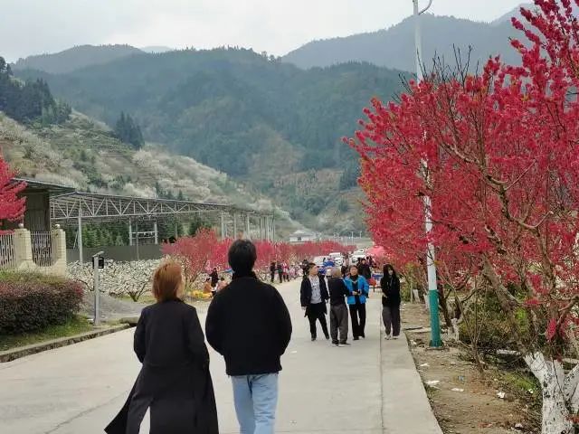 转存图片