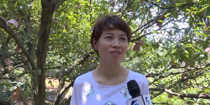 已编辑图片