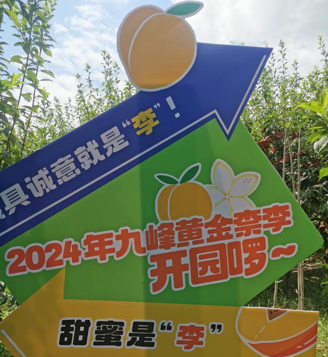 转存图片