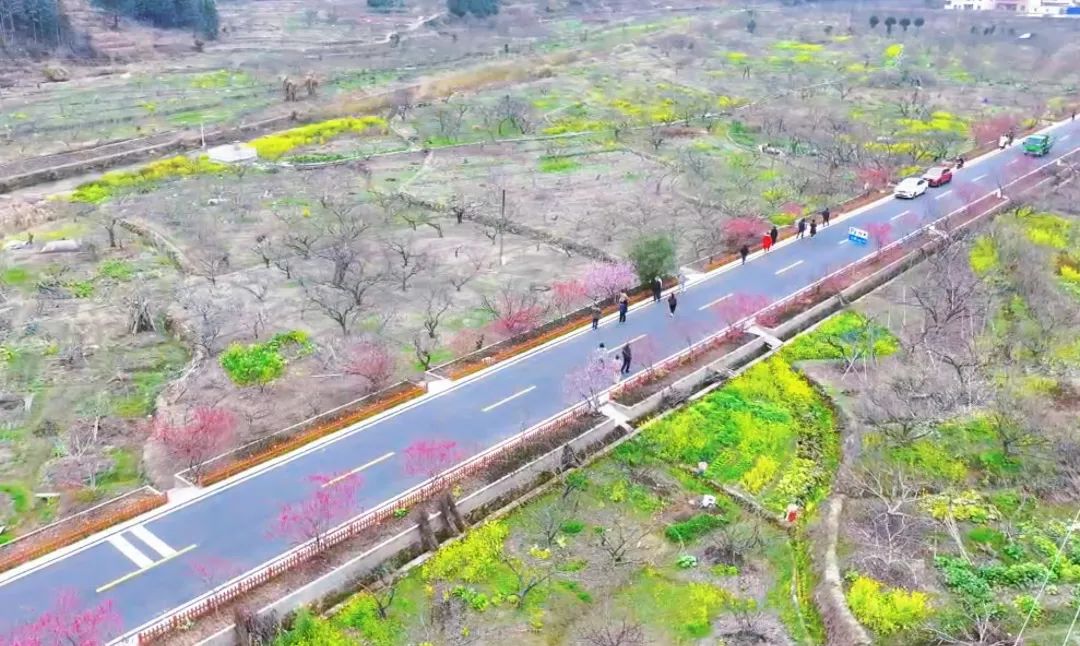 转存图片