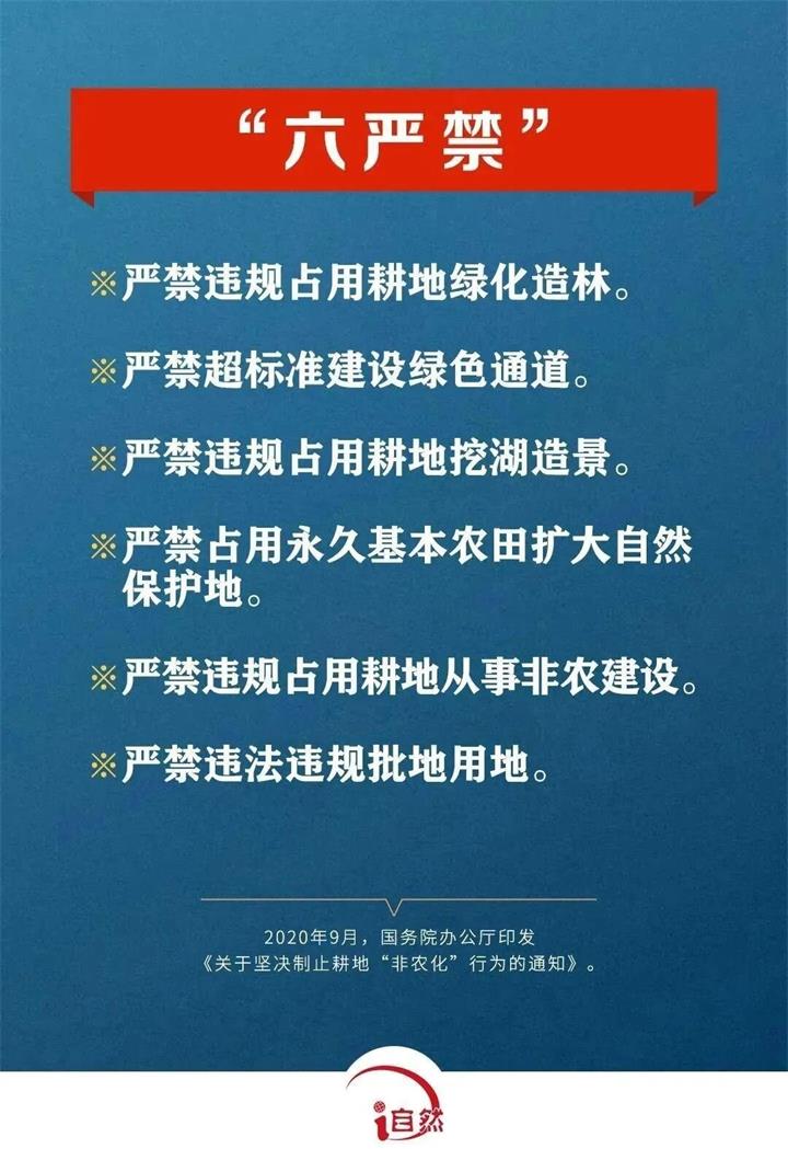 六严禁_proc.jpg