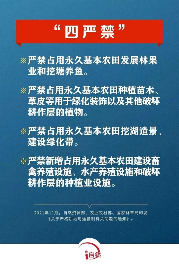 四严禁_proc.jpg