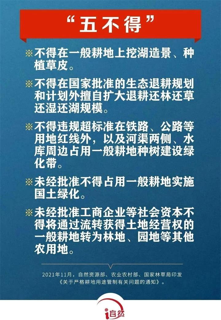 五不得_proc.jpg