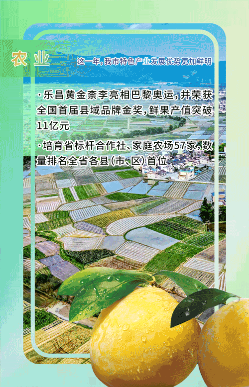 24农业.gif
