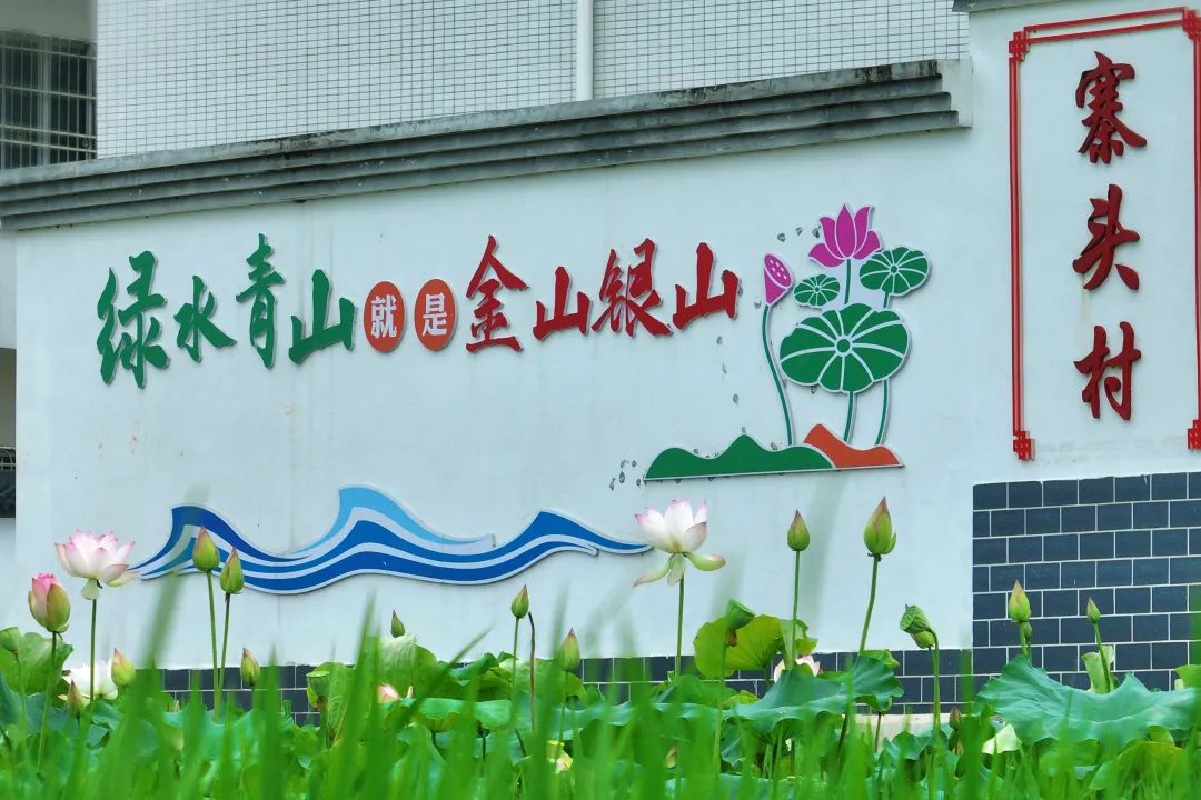 文章配圖