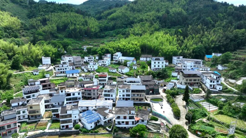 美丽乡村焕新看  白石镇坛祖村：产业造血激活振兴新动能1.jpg
