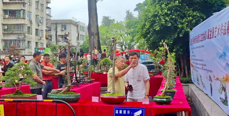 全新LOGO与口号亮相！乐昌借力中国旅游日，以公益+盆景艺术激活文旅消费新潜能5.jpg