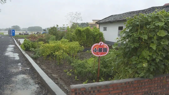 已编辑图片