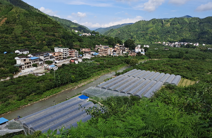 九峰农业产业(1).jpg