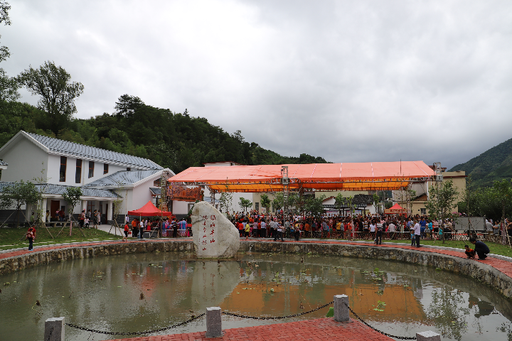 九峰黄金柰李水果节(1).JPG
