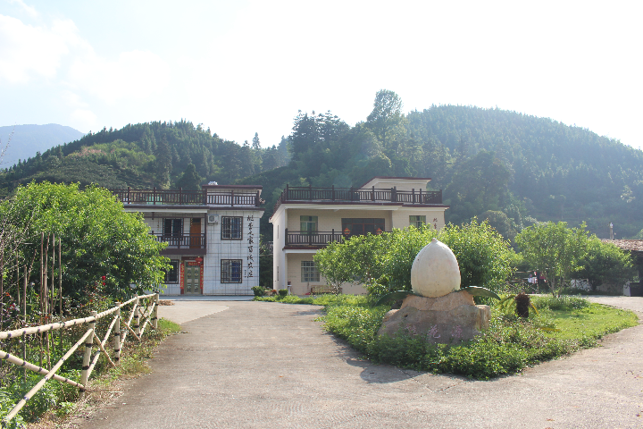 九峰新农村1(1).JPG