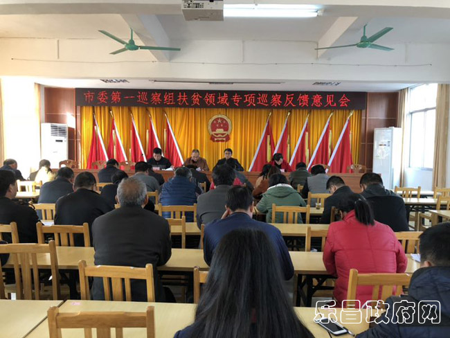 沙坪镇扶贫领域巡察反馈意见会.jpg