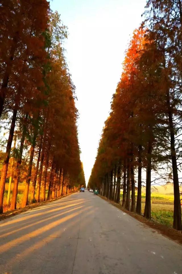 乐昌醉美公路让你的美照在暖冬里完美呈现