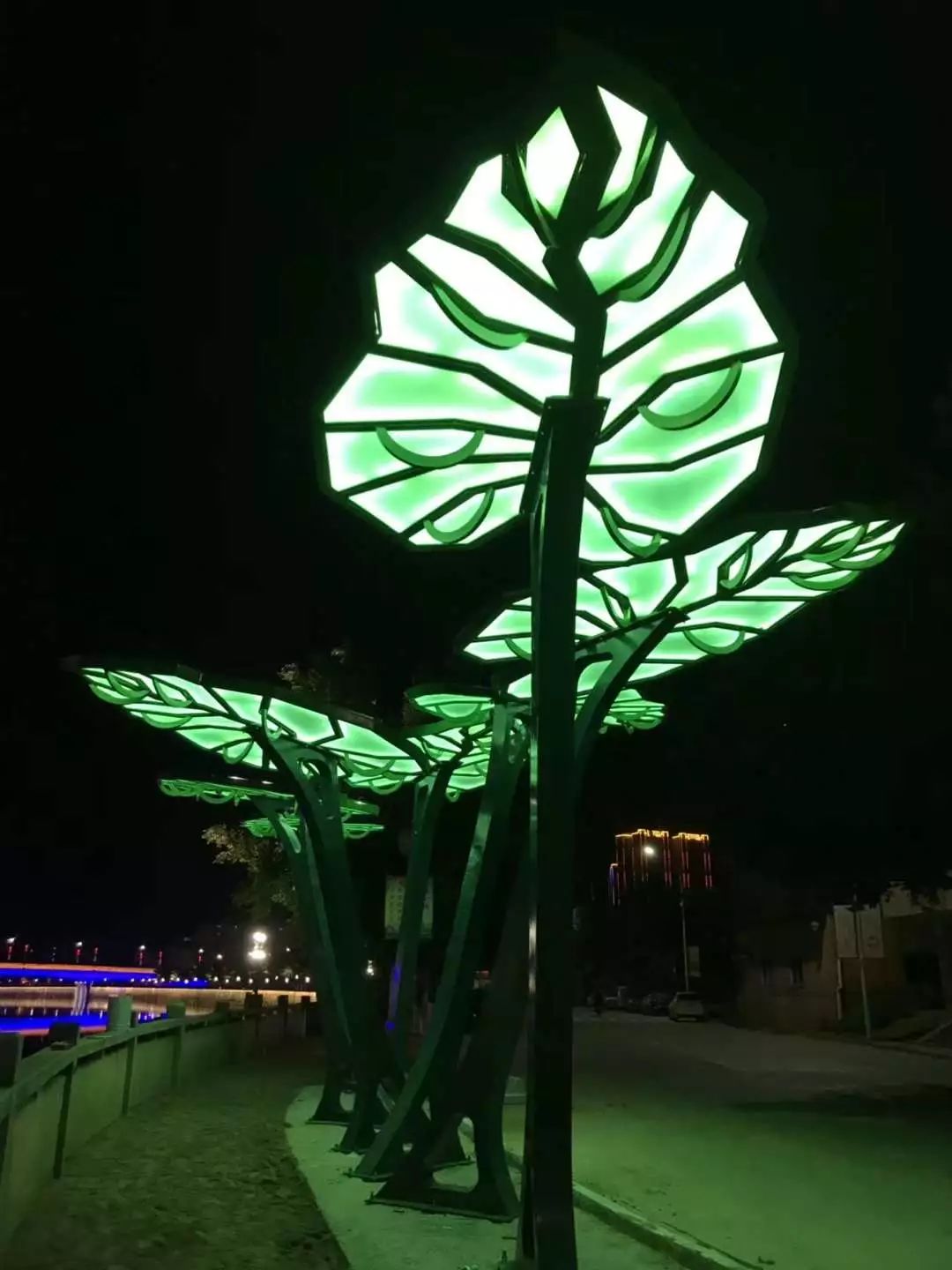 夜幕下的一江两岸
