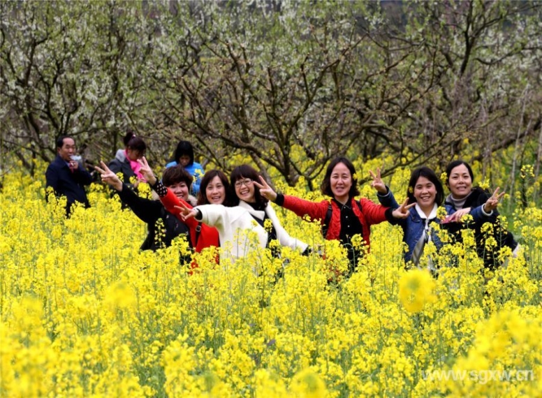 花海吸引无数游客到来。 张伟 摄.jpg